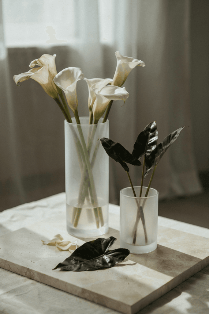 Dramatic, contemporary arrangements of calla lilies in ivory and soft blush, paired with dark black colocasia leaves and single black alocasia stems in frosted glass vessels
