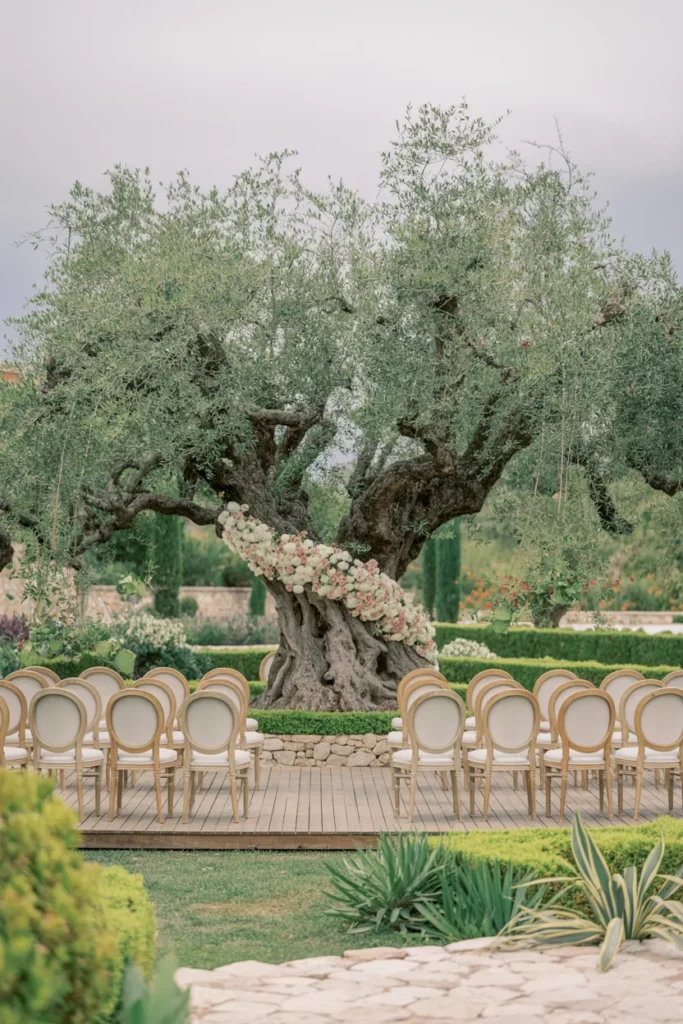 Ceremony Beneath a Sprawling Tree