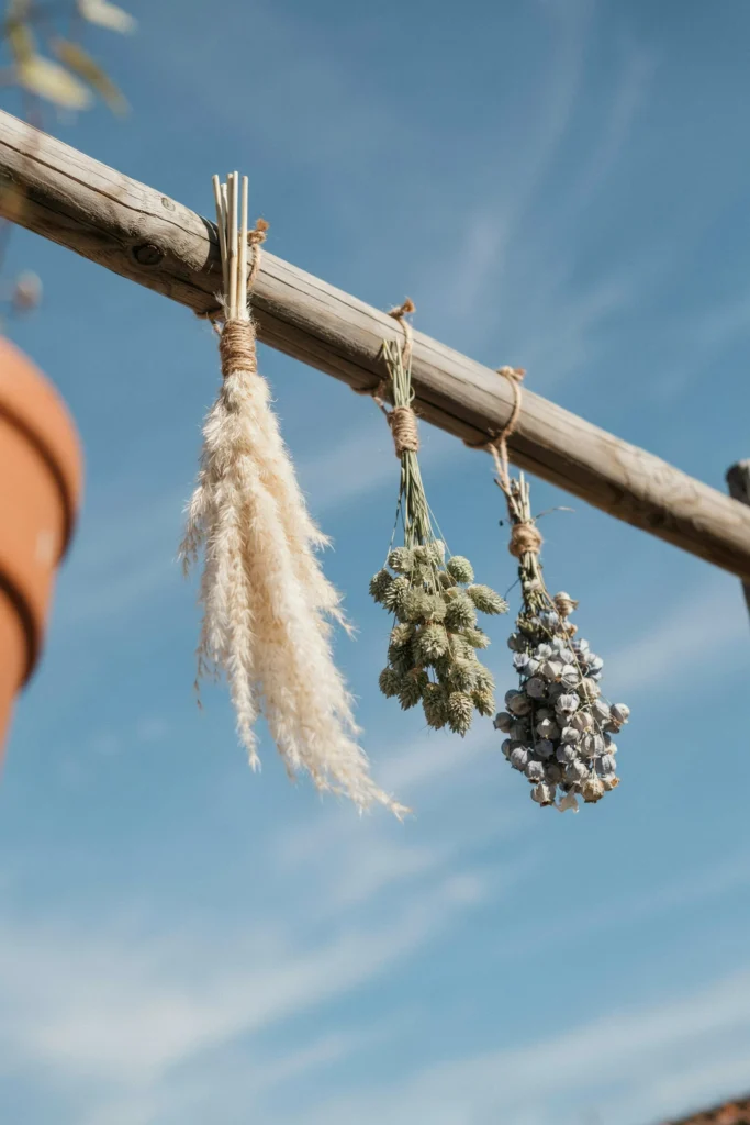 Dried pampas, bunny tail grasses, and dried lunaria hung in bundles from an overhead pergola beam at varying lengths — warm, organic, and textural against an open blue sky