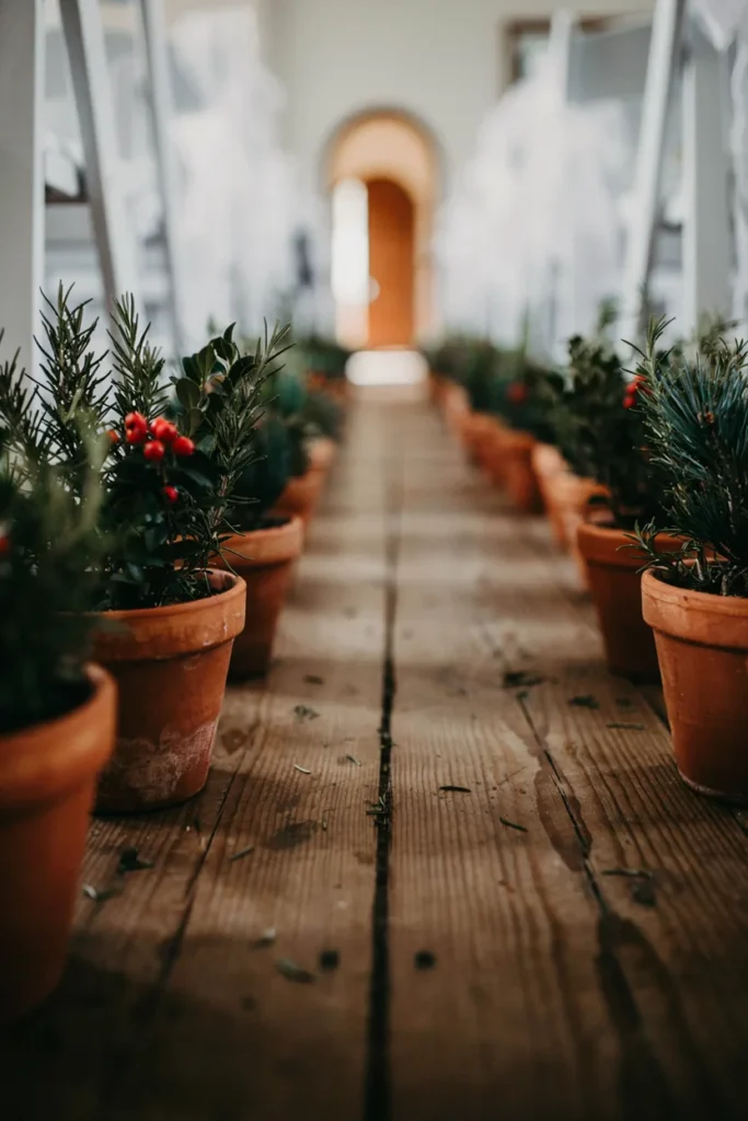 Small terracotta pots of rosemary and dark winter greenery lining a wedding aisle