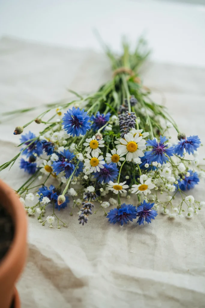 A dense, mixed meadow-style bouquet including cornflower, daisies, and baby's breath, cheerful and unstructured